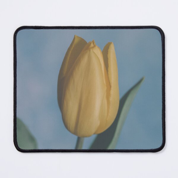 Item preview, Tulip 2 designed and sold by Crystal Vision Photo Art.