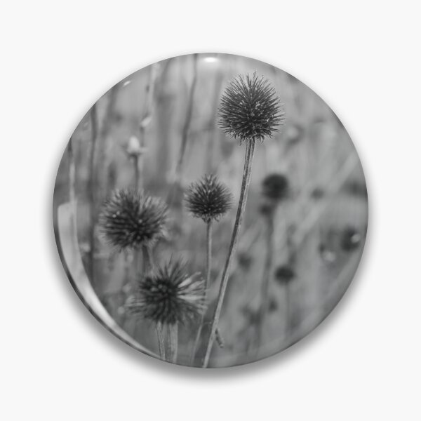 Item preview, Dormant Coneflowers (B/W) designed and sold by Crystal Vision Photo Art.