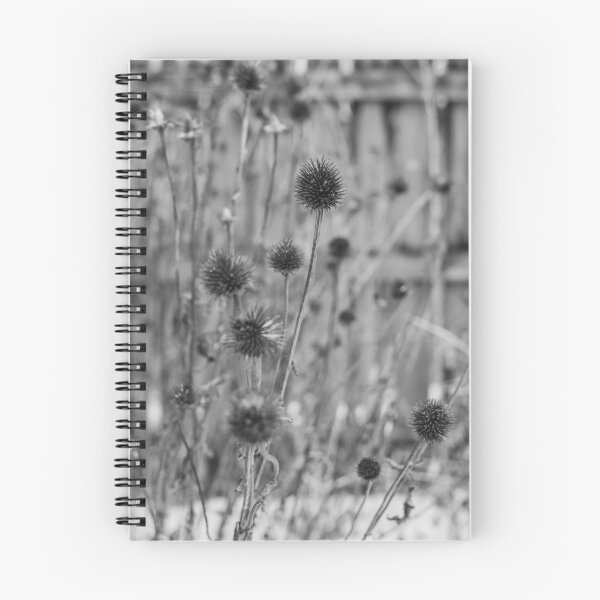 Item preview, Dormant Coneflowers (B/W) designed and sold by Crystal Vision Photo Art.