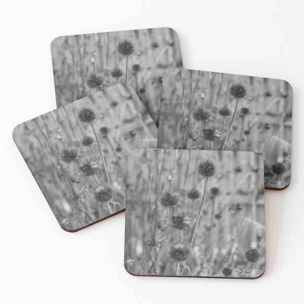Item preview, Dormant Coneflowers (B/W) designed and sold by Crystal Vision Photo Art.