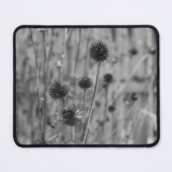 Item preview, Dormant Coneflowers (B/W) designed and sold by Crystal Vision Photo Art.