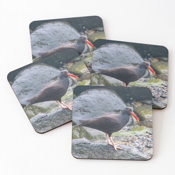 Item preview, Oyster Catcher designed and sold by Ernie Steven Dickey.