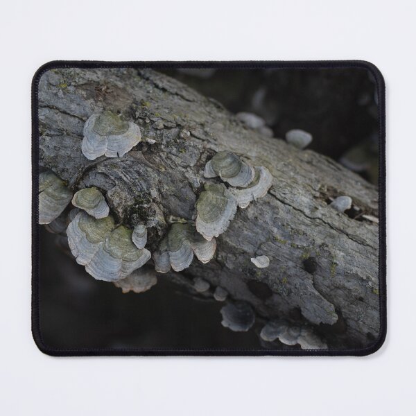 Item preview, Branch with Fungi designed and sold by Crystal Vision Photo Art.