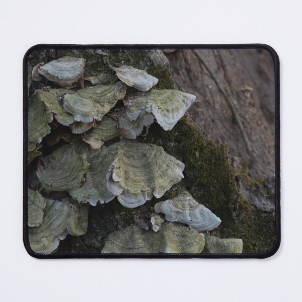 Item preview, Tree with Fungi and Moss designed and sold by Crystal Vision Photo Art.