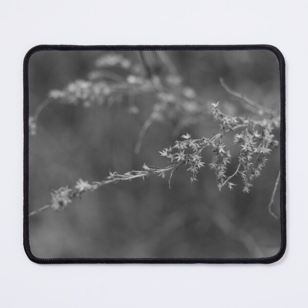 Item preview, Dormant (B/W) designed and sold by Crystal Vision Photo Art.