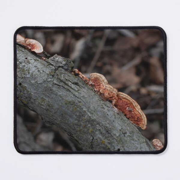 Item preview, Branch with Orange Fungus designed and sold by Crystal Vision Photo Art.
