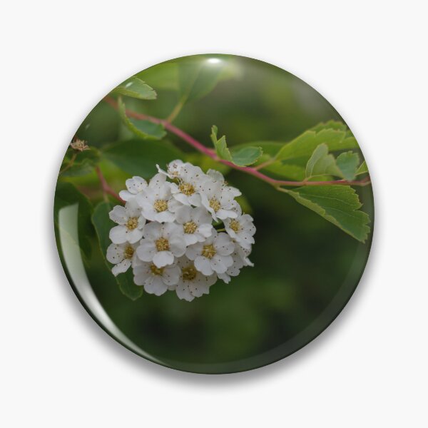 Item preview, Snowmound Spirea designed and sold by Crystal Vision Photo Art.