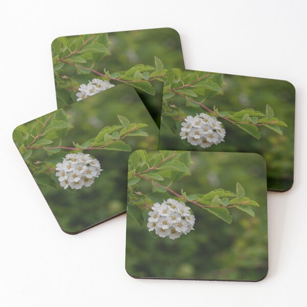 Item preview, Snowmound Spirea designed and sold by Crystal Vision Photo Art.