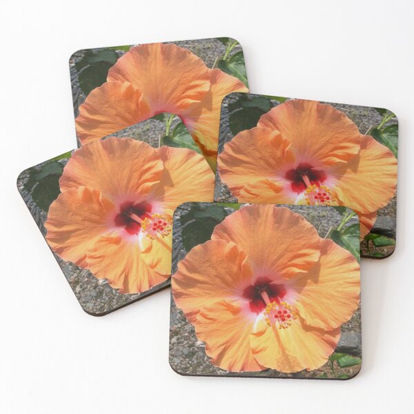 Item preview, Orange Hibiscus designed and sold by RocDrAdventures.