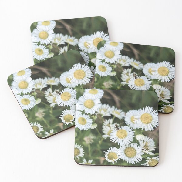 Item preview, Little Bee and Daisies designed and sold by RocDrAdventures.