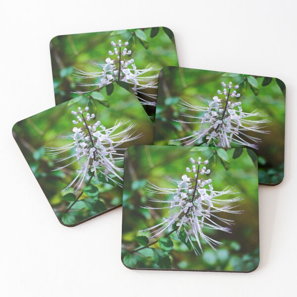 Item preview, Cat's Whiskers Flower designed and sold by RocDrAdventures.