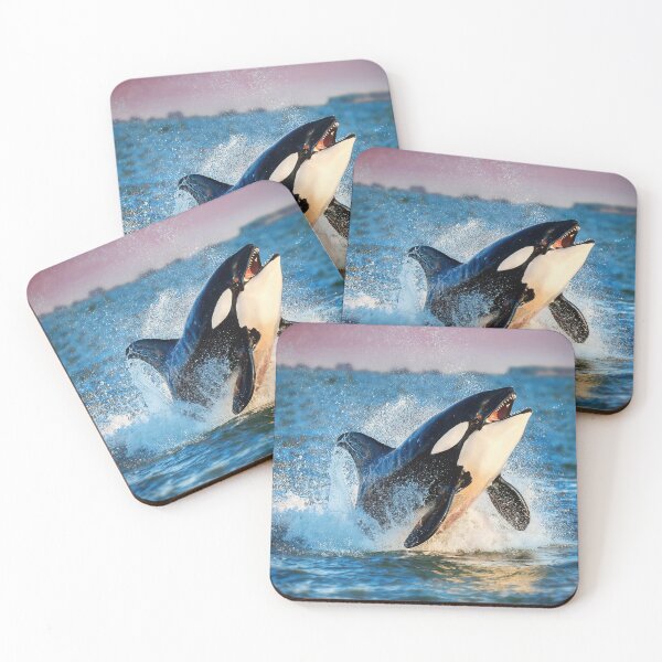 Item preview, Orca - Killer Whale designed and sold by Graham Prentice.