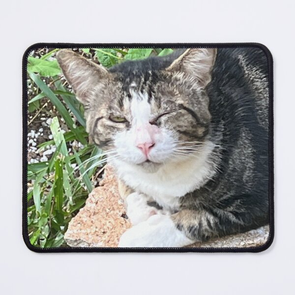 Item preview, Cat wink designed and sold by Invisible Noodles Production .