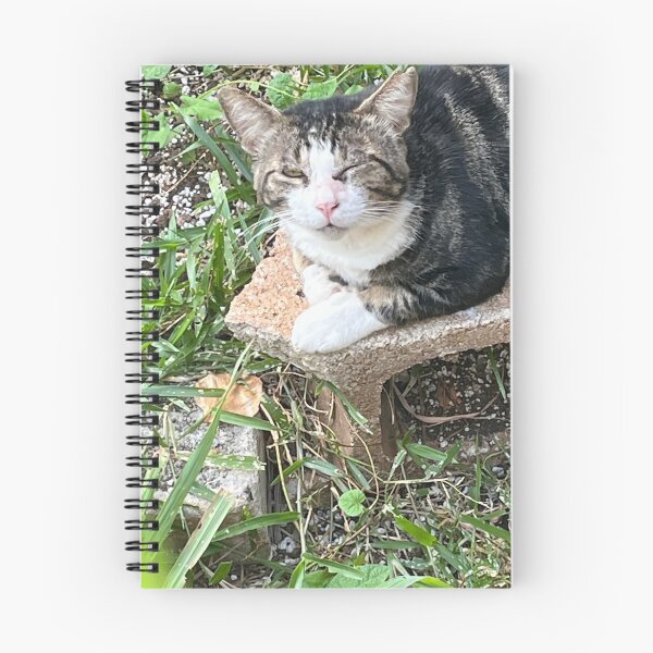 Item preview, Cat wink  designed and sold by Invisible Noodles Production .
