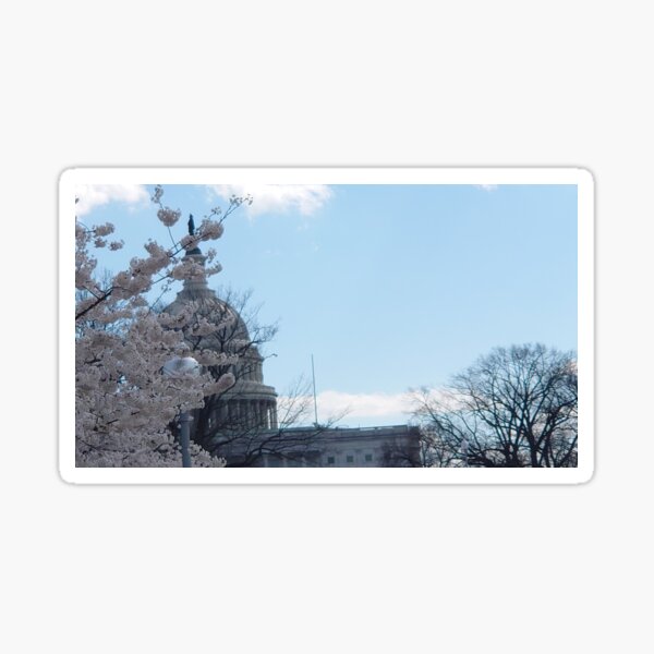 Item preview, Photo: Capitol Blossoms designed and sold by J's Meme Corner.