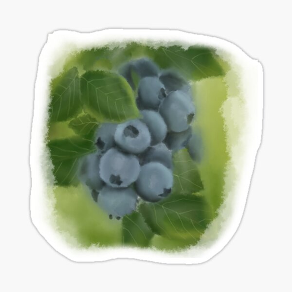 Artikel-Vorschau von Blaubeeren am Baum Aquarell Soft Blend, designt und verkauft von Colormarch.