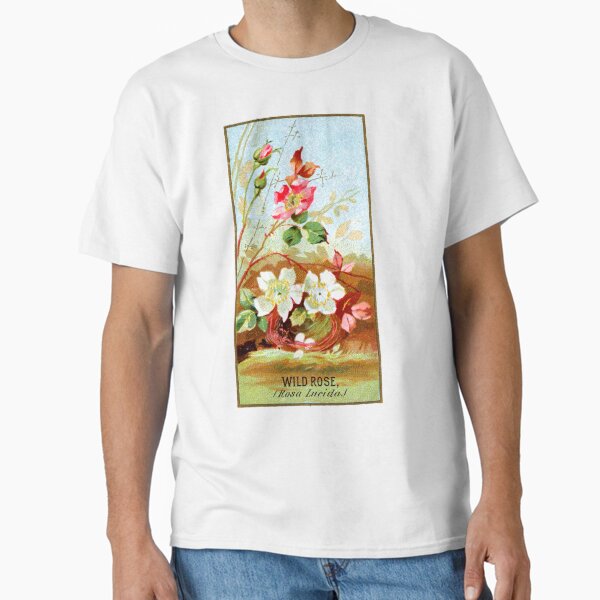 Item preview, Wild Rose (Rosa Lucida) Chromolithograph designed and sold by mamiespaw.