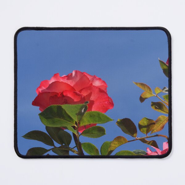 Item preview, A rose from below. designed and sold by Ekirlufly.