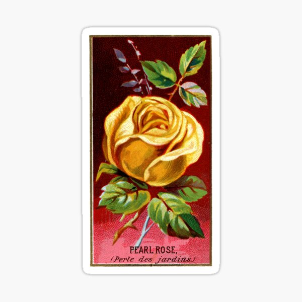 Item preview, Pearl Rose (Perle des jardins) Chromolithograph designed and sold by mamiespaw.