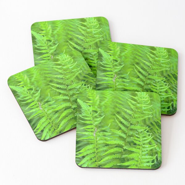 Item preview, Fern forest.  designed and sold by StellaLunart.