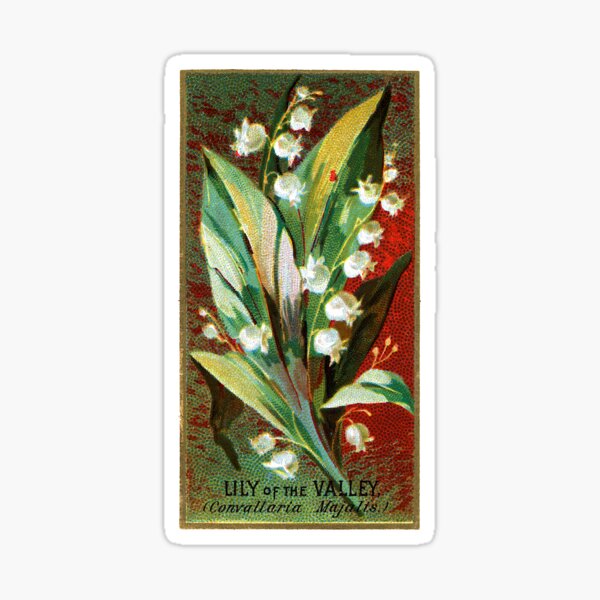Item preview, Lily of the Valley (Convallaria Majalis) Chromolithograph designed and sold by mamiespaw.