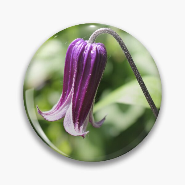 Item preview, Purple Bell Clematis designed and sold by Cr8tive4life.