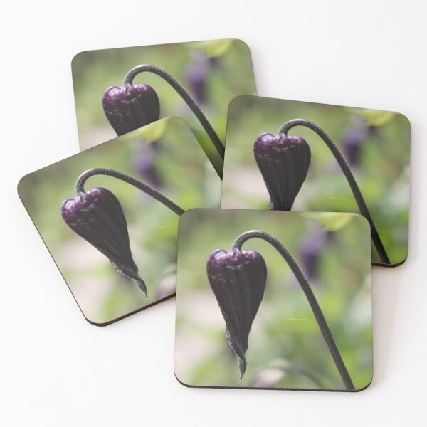 Item preview, Purple Clematis Bud designed and sold by Cr8tive4life.