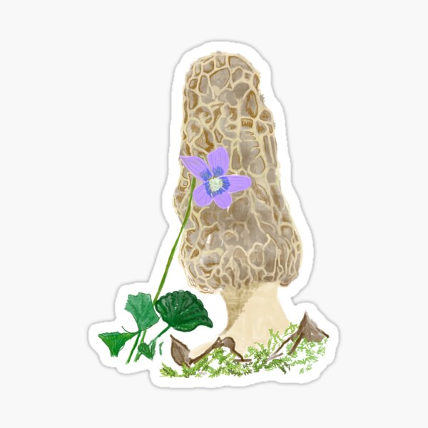 "Morel with Violet" Jamie's Hand-Drawn Sticker