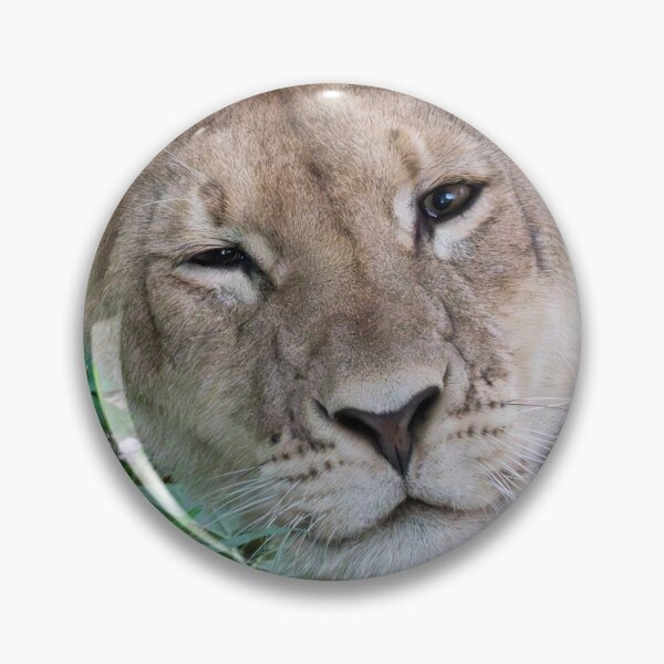 Item preview, Sleepy Lion designed and sold by LeandroNazar.