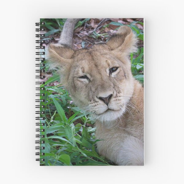 Item preview, Sleepy Lion designed and sold by LeandroNazar.