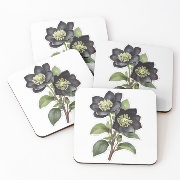 Item preview, Black Hellebore (Christmas Rose) designed and sold by HOMETOWN86.