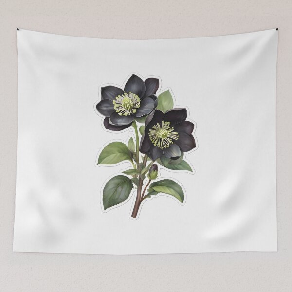 Item preview, Black Hellebore (Christmas Rose) designed and sold by HOMETOWN86.