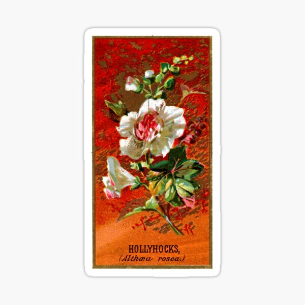 Item preview, Hollyhocks (Altaea Rosea) Chromolithograph designed and sold by mamiespaw.