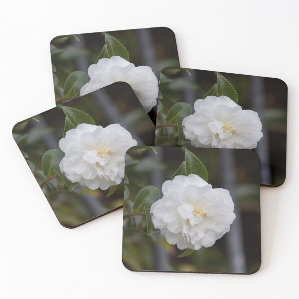 Item preview, Single White Camellia designed and sold by Boujiee-Boutique.