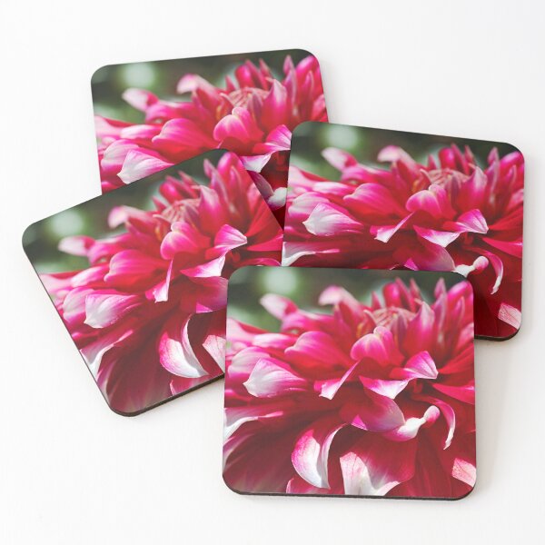 Item preview, Delightful Red Dahlia designed and sold by Joy Watson - Natural Light Photography .