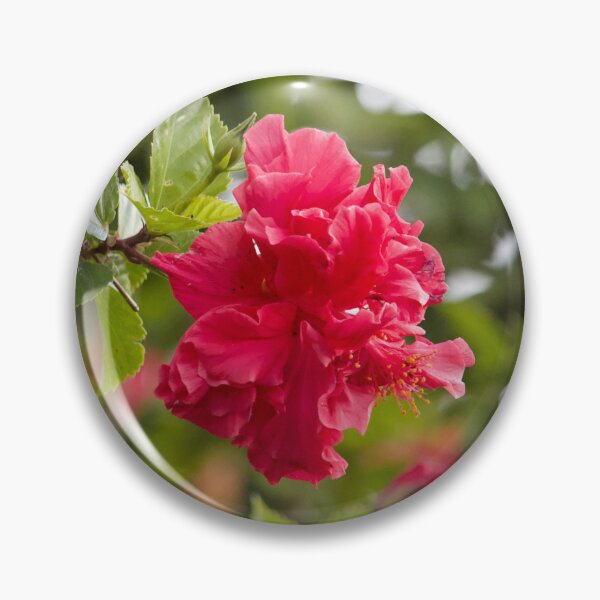 Item preview, Red Hibiscus designed and sold by Boujiee-Boutique.