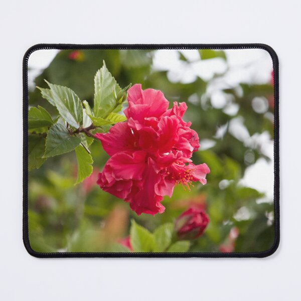 Item preview, Red Hibiscus designed and sold by Boujiee-Boutique.