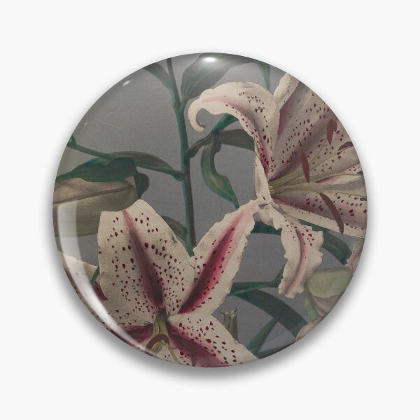 Item preview, Lily designed and sold by LegacyPressCo.