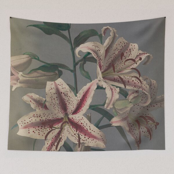 Item preview, Lily designed and sold by LegacyPressCo.