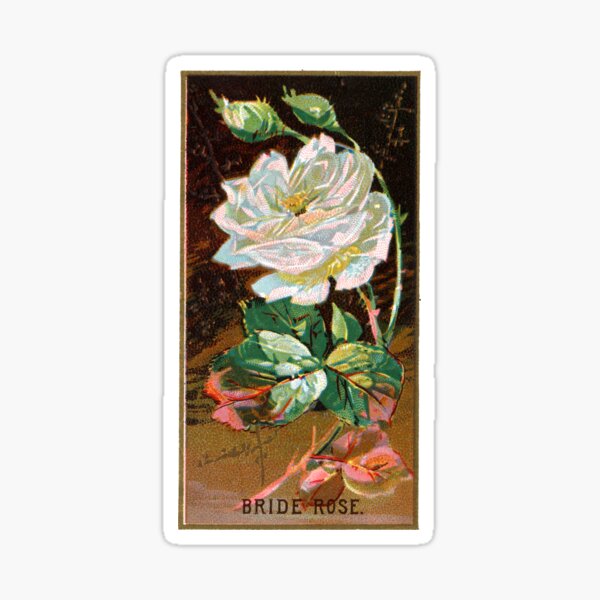 Item preview, Bride Rose Chromolithograph designed and sold by mamiespaw.
