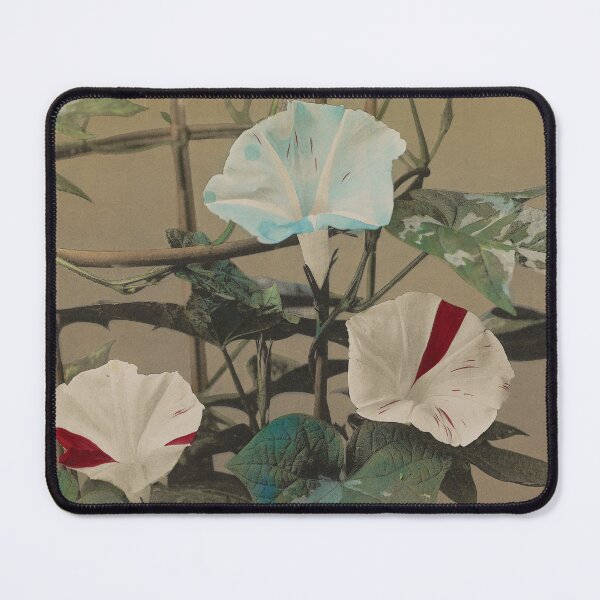 Item preview, Morning Glory designed and sold by LegacyPressCo.