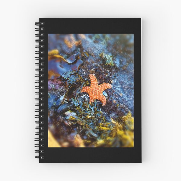 Item preview, Star of The Show  designed and sold by moon.over.pnw.