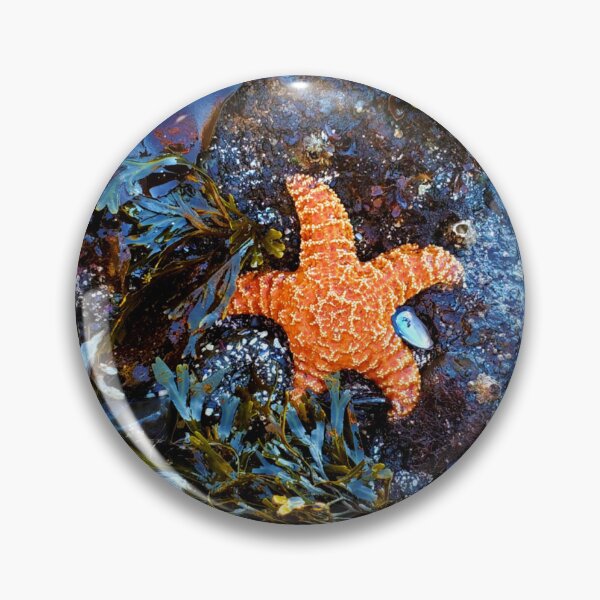 Item preview, Star of The Show  designed and sold by moon.over.pnw.