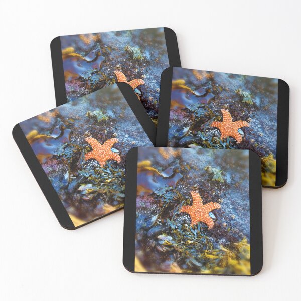Item preview, Star of The Show  designed and sold by moon.over.pnw.
