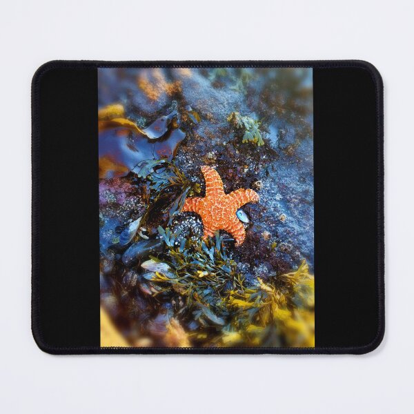 Item preview, Star of The Show  designed and sold by moon.over.pnw.