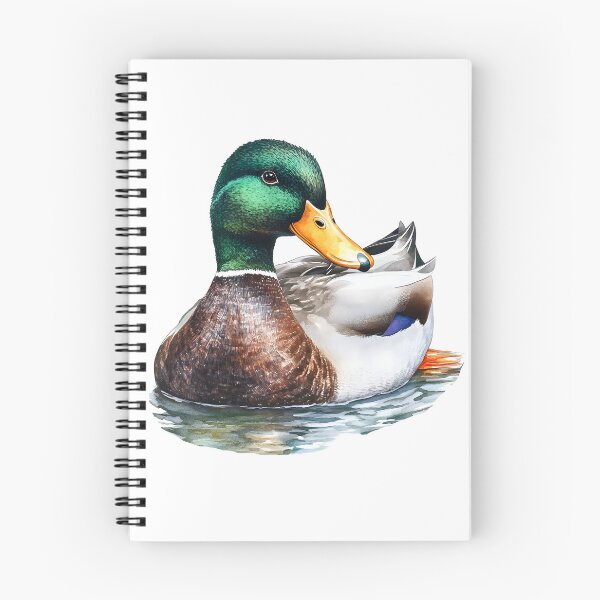 Item preview, watercolor illustration of a mallard duck with green head feathers and bright orange feet Sticker designed and sold by wonderisland.
