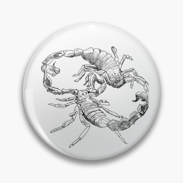 Item preview, "Scorpion's Dance" Jamie's Hand-Drawn Scorpion Collection designed and sold by Rocky Hollow Gardens.