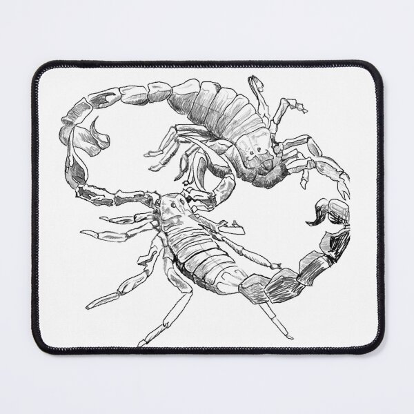 Item preview, "Scorpion's Dance" Jamie's Hand-Drawn Scorpion Collection designed and sold by Rocky Hollow Gardens.