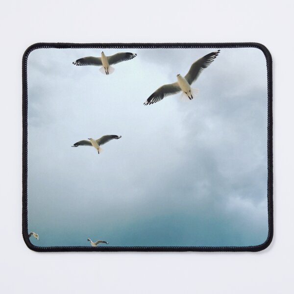 Item preview, Jonathan Livingston designed and sold by Jayne  Sims.