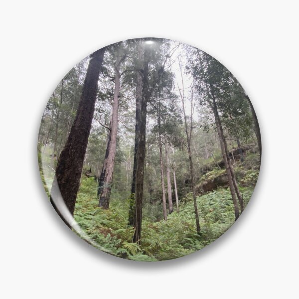 Item preview, Tall Trees- Fern Gully - Australian bushland designed and sold by Arcane Botanica.